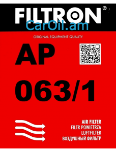 Filtron AP 063/1